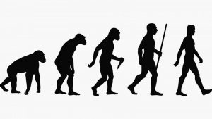 ¿Podemos encontrar la dieta sana a lo largo de la evolución?