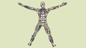 El cuerpo máquina del modelo biomédico