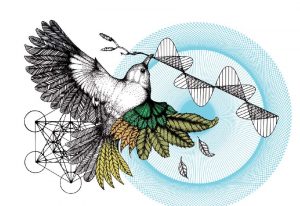 Aves migratorias y orientación cuántica