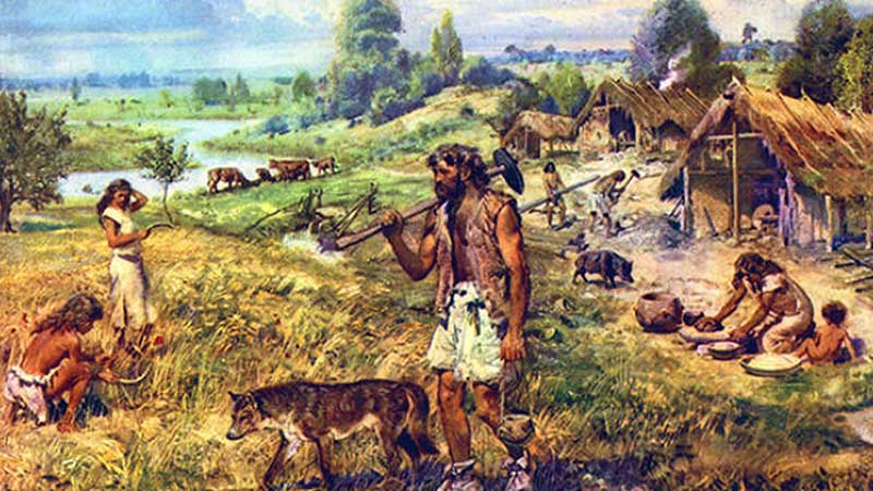 Dieta del homo sapiens en el neolítico