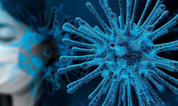 Nuevo coronavirus (SARS-CoV-2) causante de COVID-19