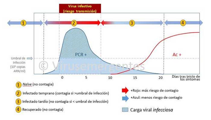 TIEMPOS EPIDEMIOLÓGICOS DEL SARS-CoV-2, el nuevo coronavirus