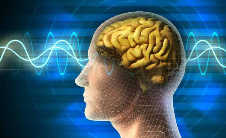 Efectos del electromagnetismo sobre el cerebro