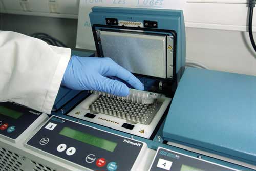 PCR por qué todos podemos dar positivo