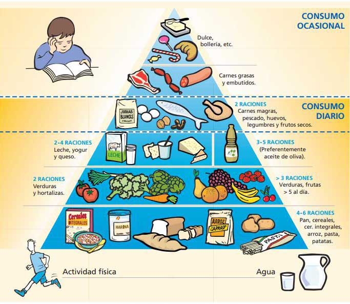 Pirámide alimentaria de la sociedad española de alimentación comunitaria