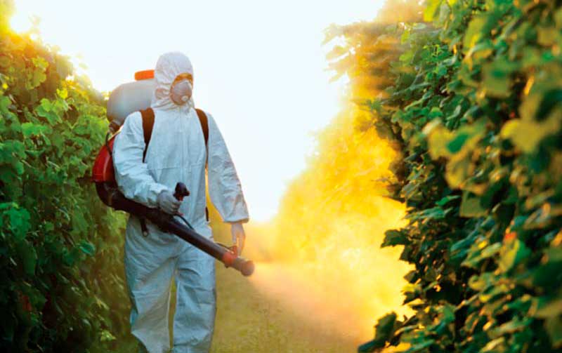 Fumigación con pesticidas